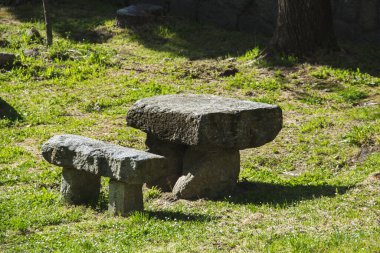 Parktaki bir piknik alanında tezgah ve taş masa. Uzayı kopyala Seçici odak.