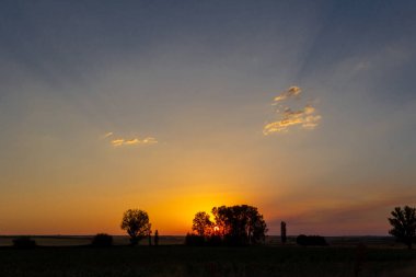 Sun hiding behind trees at sunset. Selective focus. Copy space.