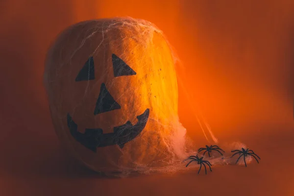 Halloween Stillleben Mit Kürbis Mit Spinnennetz Selektiver Fokus Kopierraum — Stockfoto