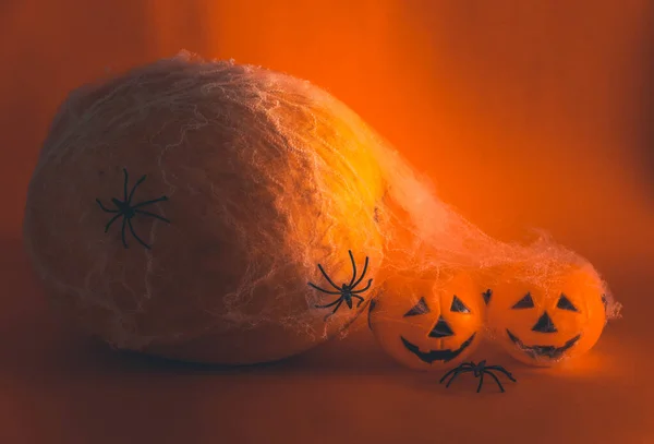 Halloween Stillleben Mit Kürbissen Und Spinnen Selektiver Fokus Kopierraum — Stockfoto