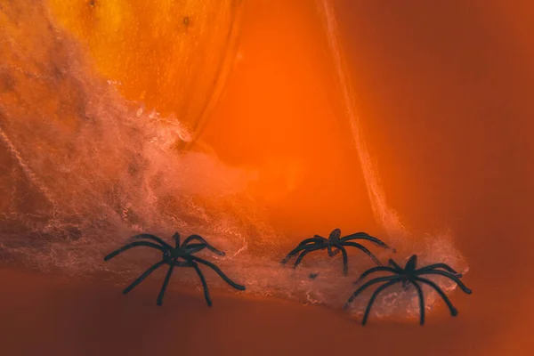 Aranhas Com Teia Aranha Uma Abóbora Halloween Foco Seletivo Espaço — Fotografia de Stock