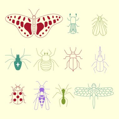 El yapımı renkli böcekler, güve, eşekarısı, karınca, yusufçuk, örümcek, böcek, uğur böceği, kelebek. Siluet klasik taslak çizimi. Eklembacaklı hayvanlar. Vektör illüstrasyonu.