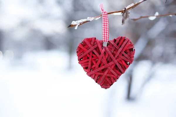 情人节背景。红色的心在树枝上，背景为雪，横向格式的请柬或贺卡. 图库照片