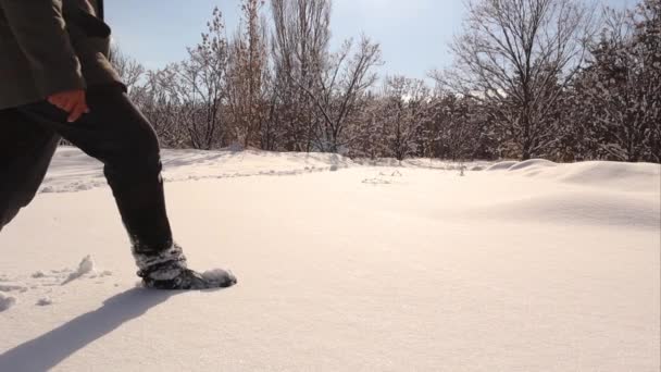 雪の上を歩く男寒さ トルコのエルズルム 森の中の雪の上に人間の足跡 トラック トラック 冬には雪が降る 足のプリント 足のプリント — ストック動画