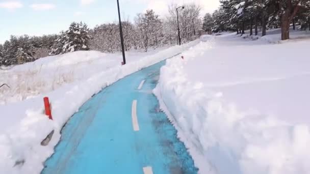 Велосипедна Доріжка Парку Взимку Їдь Велосипеді Взимку Тренуватися Насолоджуватися Краєвидами — стокове відео
