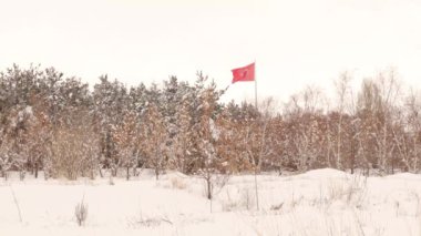 Seyahat hindisi. Türkiye bayrağı Erzurum 'da, ormanın ortasında dalgalanırken görülüyor. Vatanseverlik. Erzurum 'da sıcaklık -50 C' ye ulaşabilir. Kar ormanı kaplıyor. Güzel doğal sahne