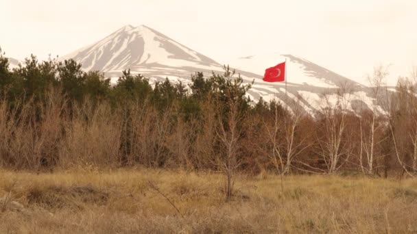 Rejsekalkun Tyrkiet Flag Vises Flyvende Skoven Foråret Erzurum Patriotisme Temperaturen – Stock-video