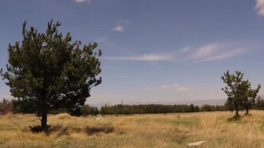 Erzurum Ormanı, Türkiye. Yaz olmasına rağmen dağda biraz kar var. Karla kaplı dağlar, ormanlar ve bulutlar. Muhteşem bir manzara. Dünyanın güzelliğini, vahşi hayatını, ormanını keşfedin.