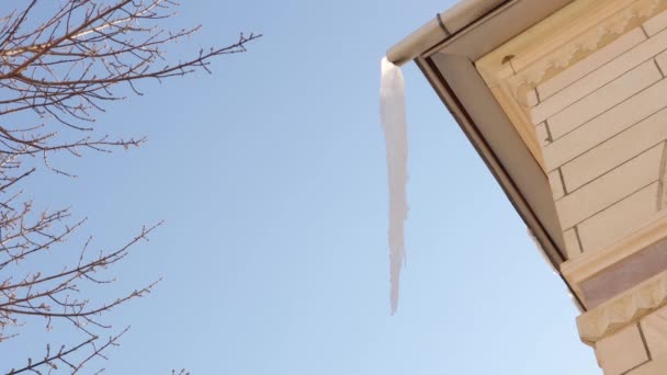 Erzurum Der Türkei Dämme Aus Dacheis Gemeinsame Ansicht Winter Grad — Stockvideo