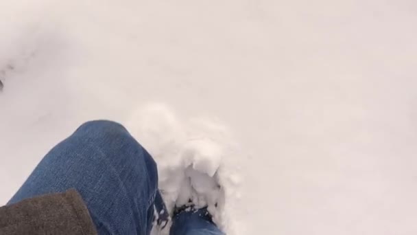 Hombre Caminando Una Nieve Profunda Clima Frío Grados Centígrados Aventura — Vídeo de stock