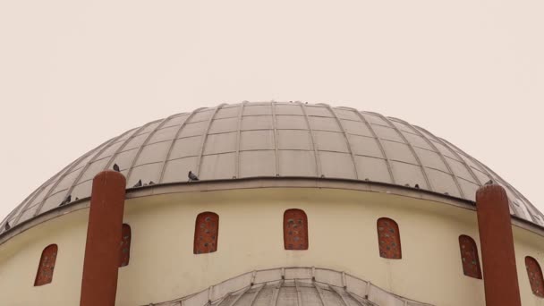 Звичайні Голуби Літають Купола Мечеті Ерзурумі Туреччина Сірі Голуби Мечеті — стокове відео