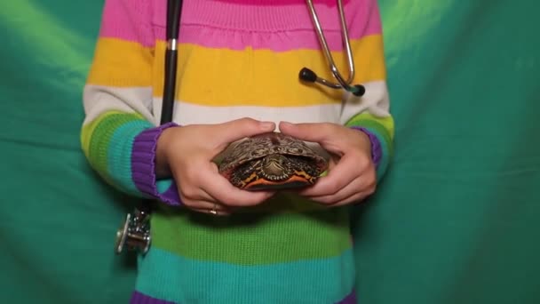 Tortuga Niño Sosteniendo Una Tortuga Chica Joven Quiere Convertirse Veterinario — Vídeo de stock