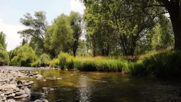 River Stream Gokceyamac Mah Erzurum Turkey You Can See Cottonwood — Stock Video