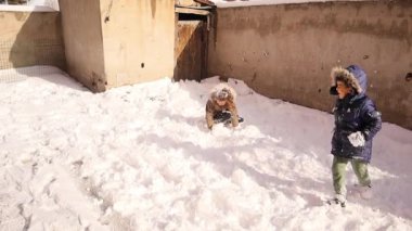 Kışın dışarıda karda oynayan mutlu çocuklar. Kardeşler kış tatilinde birbirleriyle eğlenirler. Karlı köyde koşan çocuklar. Aile için güneşli kış parkında Noel tatili