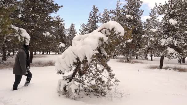 Erzurum Στην Τουρκία Άνθρωπος Διασκεδάζει Κλωτσώντας Ένα Χιονισμένο Δέντρο Δάσος — Αρχείο Βίντεο