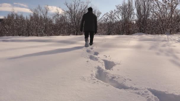 男が歩いた後に残った雪の上の足跡 男は冬に森の中を一人で歩く 寒い気候の中で 大人の人は単独で冒険に出る 素晴らしい森は雪で人間を抱きしめる — ストック動画