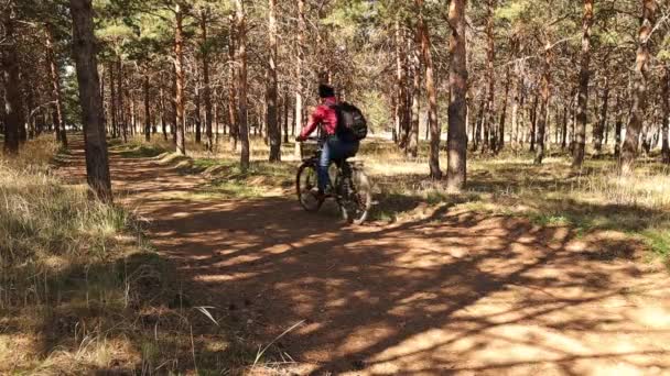 森の中で自転車に乗ってスポーツをしている男 春の間の運動 サイクリングMtb マウンテンバイク エンデューロフロートレイルトラック アウトドアスポーツ活動 — ストック動画