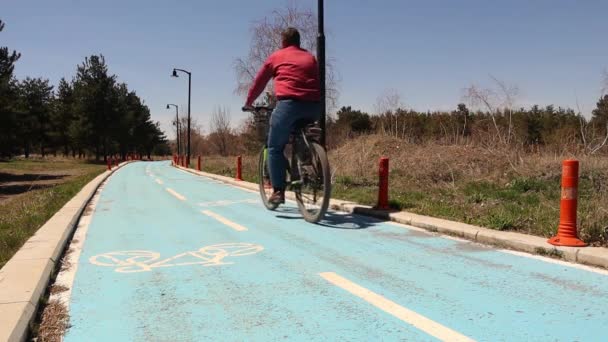 Pista Ciclabile Nel Parco Uomo Che Sport Bicicletta Nel Bosco — Video Stock