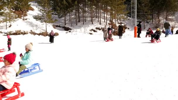 Erzurum Pavo Niños Conduciendo Trineos Sobre Una Pendiente Cubierta Nieve — Vídeos de Stock