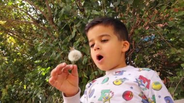 Ağaçlara karahindiba çiçeği üfleyen güzel bir çocuk. Mutlu çocuk dışarıda eğleniyor. Büyük bir karahindiba taşıyan bir çocuğun yaz portresi. Alerjisi olmayan konsept. Ruh uyumu konsepti. Çocuk gülüyor. çocuklar