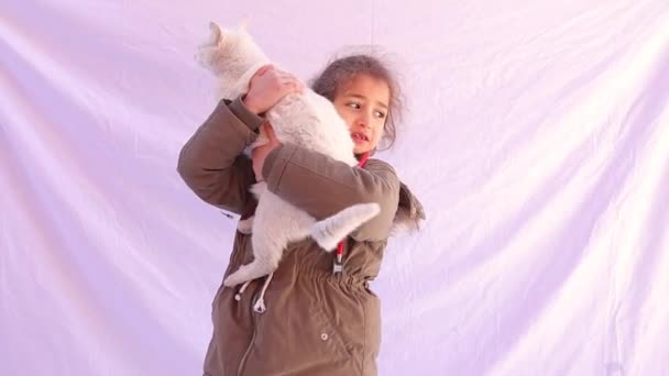 Küçük Kız Büyük Beyaz Bir Kediyi Tutmaya Çalışıyor Bir Çocuk — Stok video