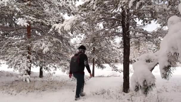 터키의 에르즈 룸이다 눈덮인 나무를 겨울에는 50C 의추운 날씨에 소나무 — 비디오