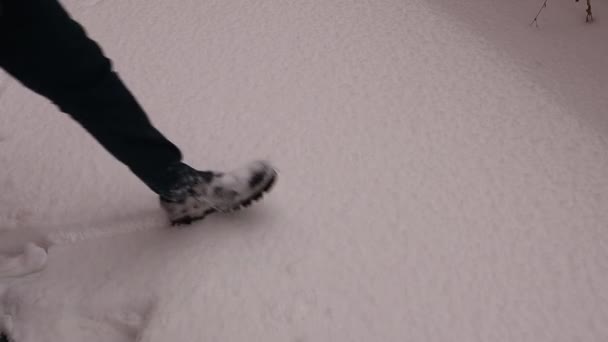 Άνθρωπος Που Περπατάει Στο Χιόνι Στο Δάσος Ενηλίκων Επιχειρεί Μια — Αρχείο Βίντεο