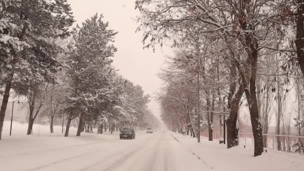 Эрзурум Турции Автомобили Медленно Едут Дороге Время Снежной Бури Снег — стоковое видео