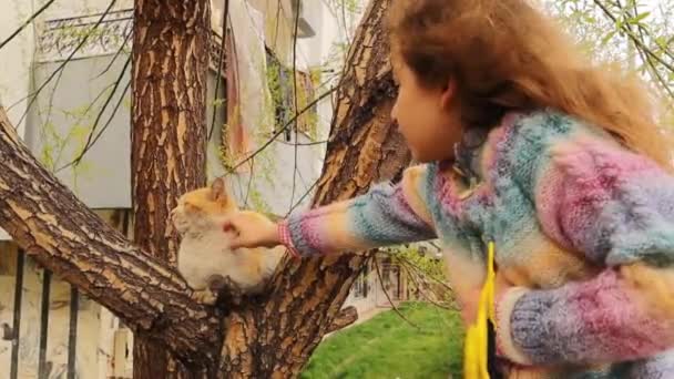 Children Petting Cute Homeless Cat Sitting Tree Garden Happy Little — Vídeos de Stock