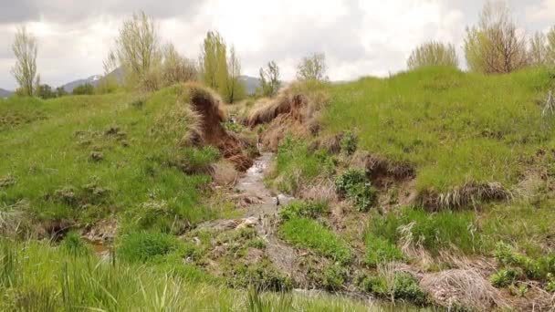 Mały Strumień Przepływa Strumień Rzeki Erzurum Turcja Wspaniałe Rzeki Słodkiej — Wideo stockowe