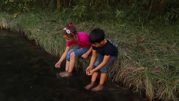 Çocuklar Zarla Ilgilendikten Sonra Yılanları Serbest Bırakırlar Yılanı Zehirli Değildir — Stok video