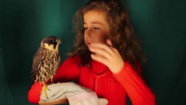 Κορίτσι Φροντίζει Ένα Γεράκι Και Εξετάζει Στηθοσκόπιο Παιδί Θέλει Γίνει — Αρχείο Βίντεο