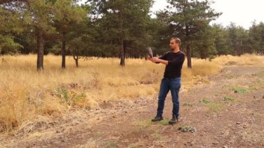 Egzotik veteriner tedavi edildikten sonra Avrasya hobisi (subgenus Hypotriorchis) edinir. Şahin doğal olarak kanatlarını çırptı, yere yakın uçtu ve yükseldi.