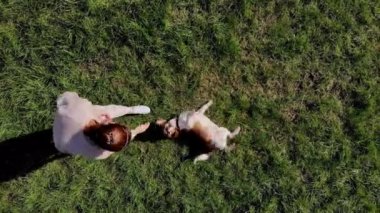 Top View Girl yeşil bir parktaki çimlerde köpek köpeğiyle komuta etmeyi öğretiyor. Beagle emirlere uy, arkanı dön. İHA uçuşu. Köpek eğitimi. Mans en iyi arkadaş.