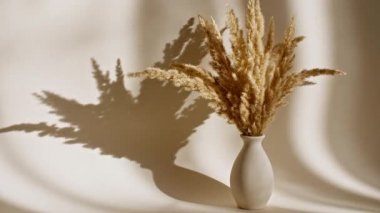 Kurumuş altın çiçekler vazoda. Spikelets 'in rüzgardaki hareketi. Gün ışığı yumuşak ışık ve şeffaf perdeden gelen gölgeler, tül. Mesaj için yer var. 4k