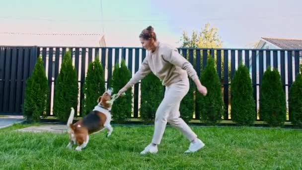 Girl playing with his dog beagle outdoors. He pets and teases his puppy with his favourite toy. Slow Motion — Stock Video