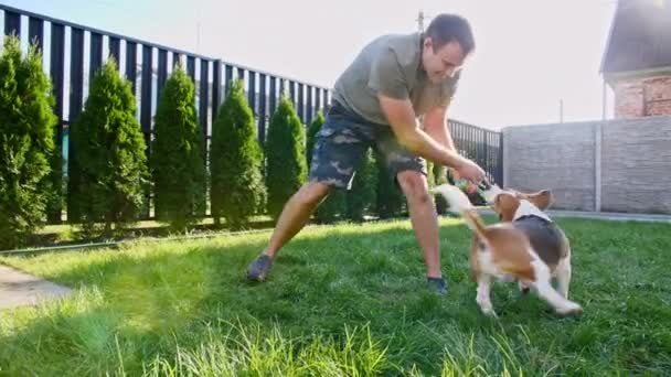 Homem brinca com seu cão beagle ao ar livre e trata seu animal de estimação com um deleite. Goza com o seu cachorrinho com o seu brinquedo favorito. Movimento lento — Vídeo de Stock