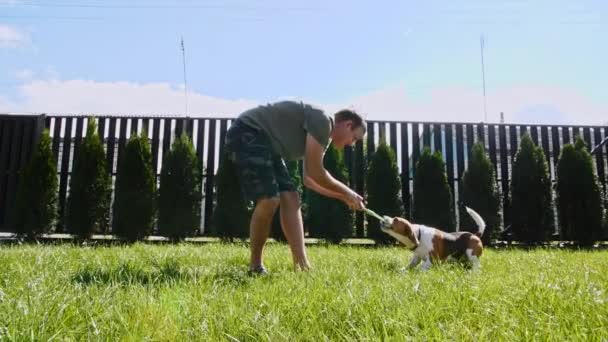 男は野良犬と屋外で遊び、ペットを治療します。彼のお気に入りのおもちゃでこの子犬をからかう. — ストック動画