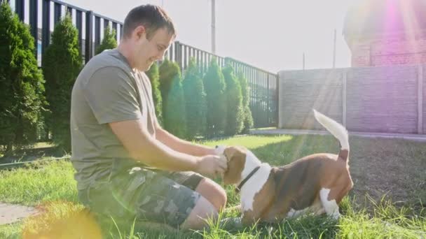 Man speelt met zijn beagle dog buiten en trakteert haar huisdier met een traktatie. Plaagt zijn puppy met zijn favoriete speeltje. Langzame beweging — Stockvideo