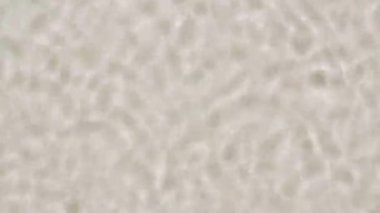 Dalgaların Dalgalandığı Güzel Pastel Su Yüzeyi. Yansımalı berrak mavi su, kırılma güneş ışığı. Su yüzeyi dokusu üst görünümü.