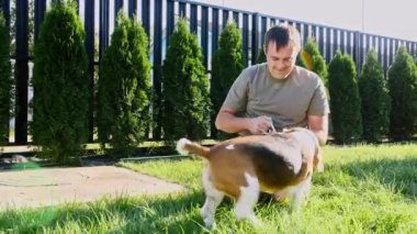 Adam av köpeğiyle dışarıda oynuyor ve evcil hayvanına iyi davranıyor. En sevdiği oyuncağıyla köpeğine sataşıyor. Yavaş Hareket