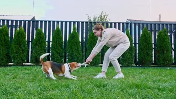 Mädchen spielt mit seinem Hund Beagle im Freien. Er streichelt und neckt seinen Welpen mit seinem Lieblingsspielzeug. Zeitlupe — Stockvideo