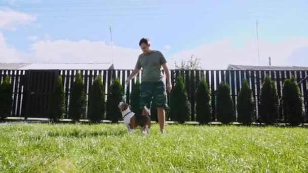 Homem brinca com seu cão beagle ao ar livre e trata seu animal de estimação com um deleite. Goza com o seu cachorrinho com o seu brinquedo favorito. Movimento lento — Vídeo de Stock