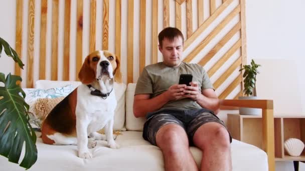 Радостный молодой человек, сидящий за столом и обнимающий своего Пса Бигла во время видеозвонка. Владелец собаки делает селфи с питомцем с помощью телефона. Slow Motion. — стоковое видео
