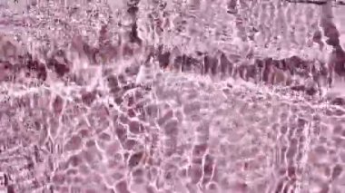 Dalgaların Dalgalandığı Güzel Pembe Su Yüzeyi. Yansımalı berrak mavi su, kırılma güneş ışığı.