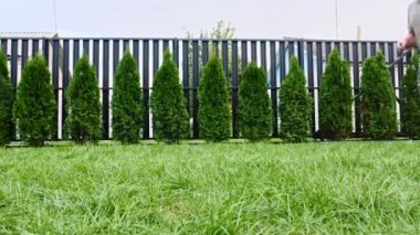 Adam av köpeğiyle dışarıda oynuyor ve evcil hayvanına iyi davranıyor. En sevdiği oyuncağıyla köpeğine sataşıyor. Yavaş Hareket