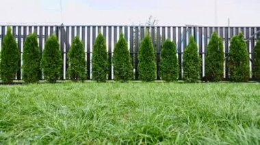 Adam av köpeğiyle dışarıda oynuyor ve evcil hayvanına iyi davranıyor. En sevdiği oyuncağıyla köpeğine sataşıyor. Yavaş Hareket