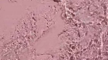 Su yüzeyi üst görünümü. Su pembe renkte sıçrıyor. Saf mavi su, güneş ışığını yavaş çekimde yansıtıyor. Güneş ve gölgeler. Hareket temiz yüzme havuzu dalgalanmaları ve el sallama. 4k