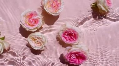 Üst görüntü dalgaların yavaş çekim pembe zemin üzerinde su. Su yüzeyinde pembe gül çiçekleri olan bir yaz sahnesi. Yansımalı berrak su, kırılma güneş ışığı ve gölgeler..