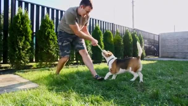 Man speelt met zijn beagle dog buiten en trakteert haar huisdier met een traktatie. Plaagt zijn puppy met zijn favoriete speelgoed. — Stockvideo